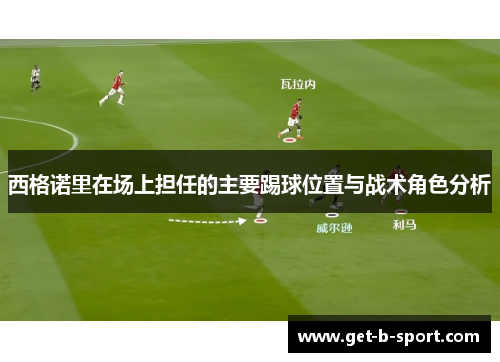 西格诺里在场上担任的主要踢球位置与战术角色分析 西格诺里在场上担任的主要踢球位置与战术角色分析